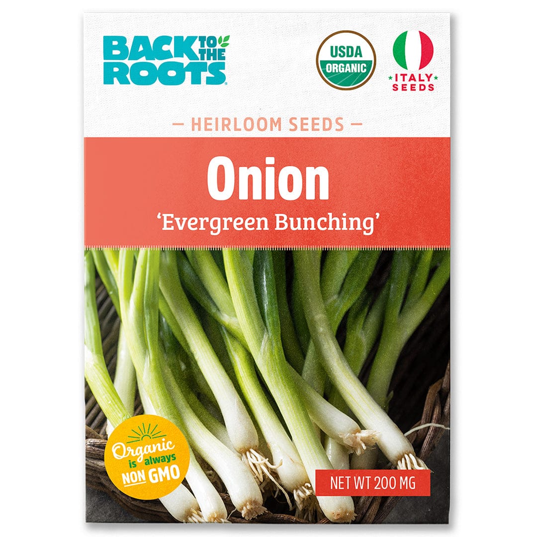 Bunching Onions Seeds