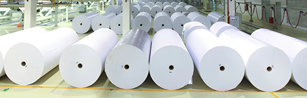 C1S and other packaging papers