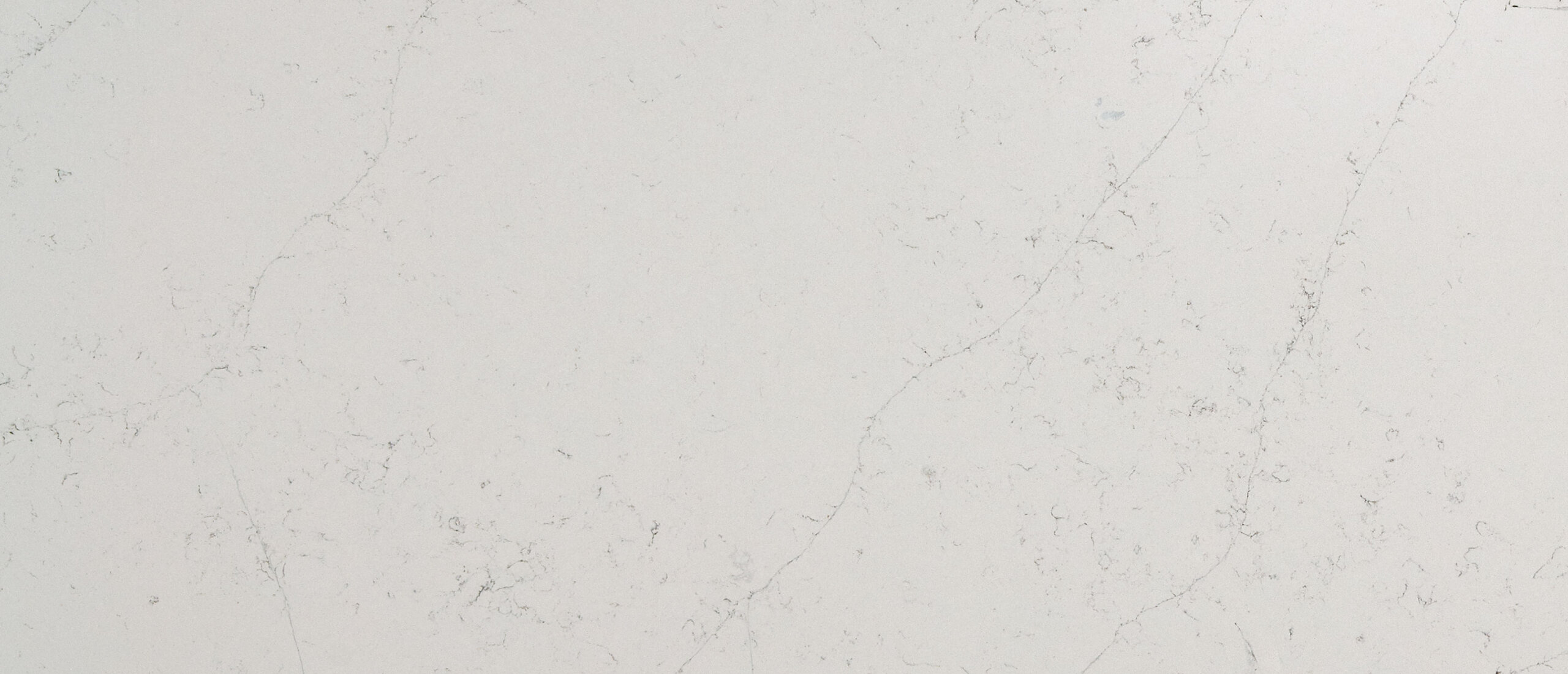 Calacatta Botanica Quartz White Quartz Q™ Premium Quartz
