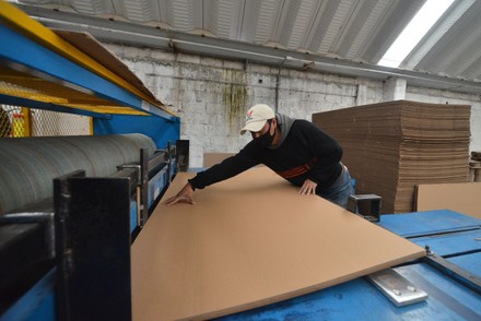 Cardboard Box Coffin industry insight