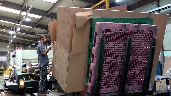 Cardboard Box Sizer industry insight