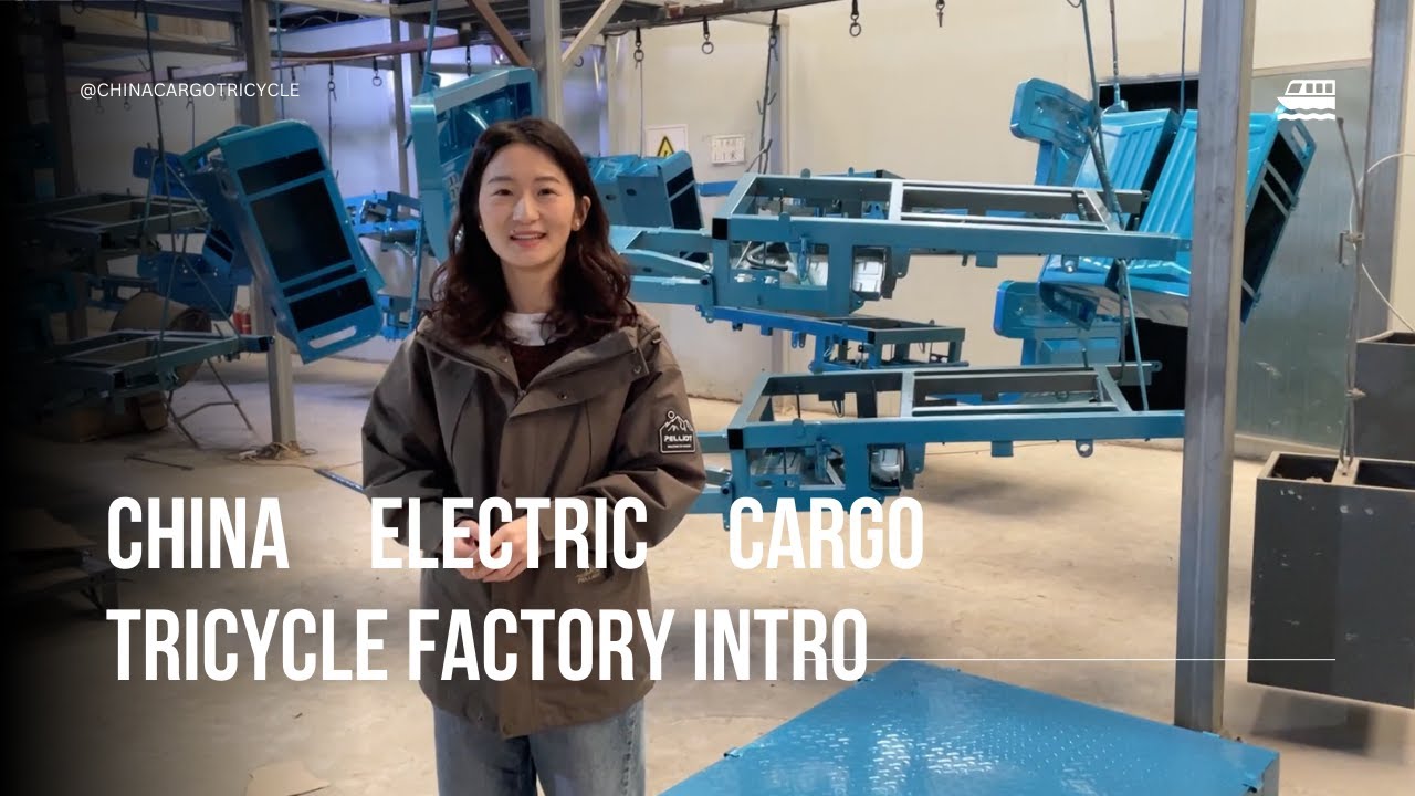 Cargo Electric Trike industry insight