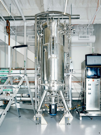 Chain Spider industry insight