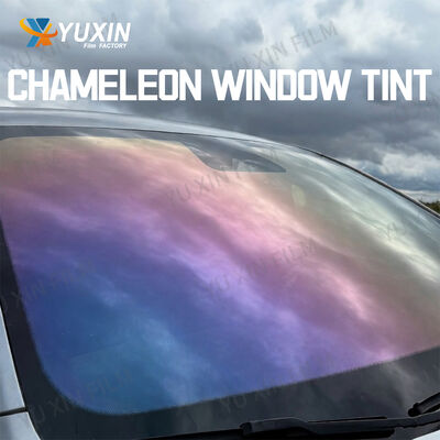 Chameleon Tint industry insight