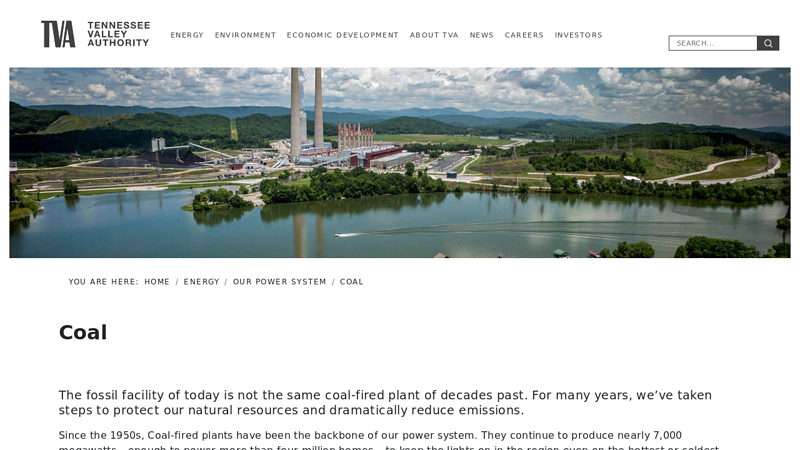 Coal