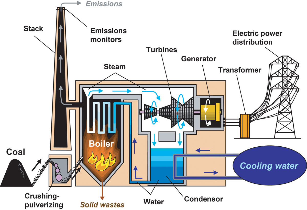 Coal Generator industry insight