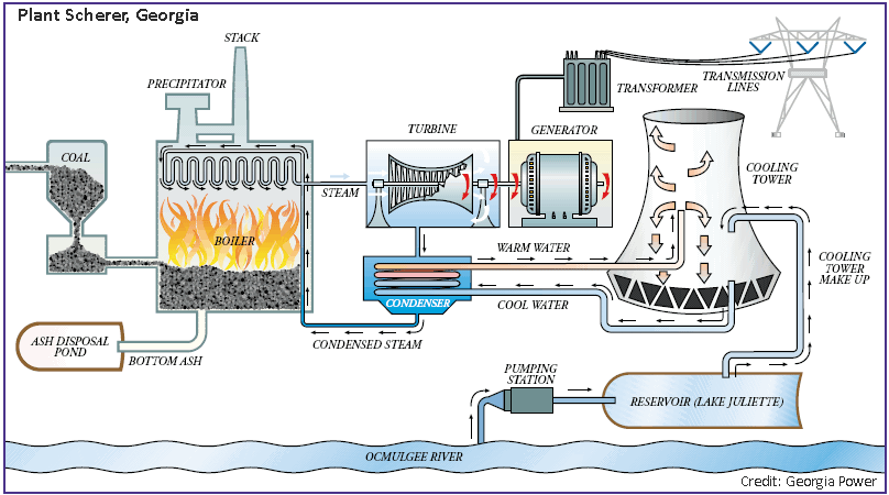 Coal Generator industry insight