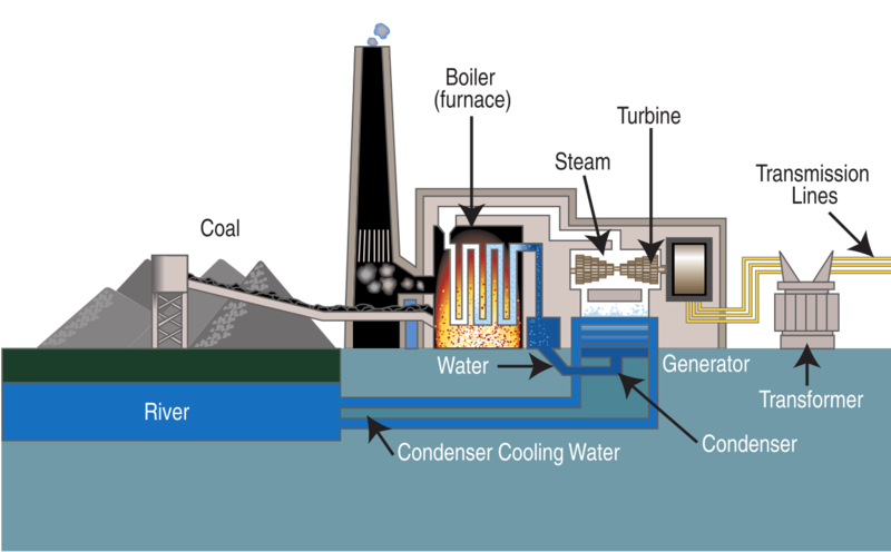 Coal Generator industry insight