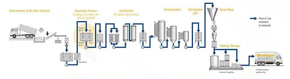 Collagen 1&3 industry insight