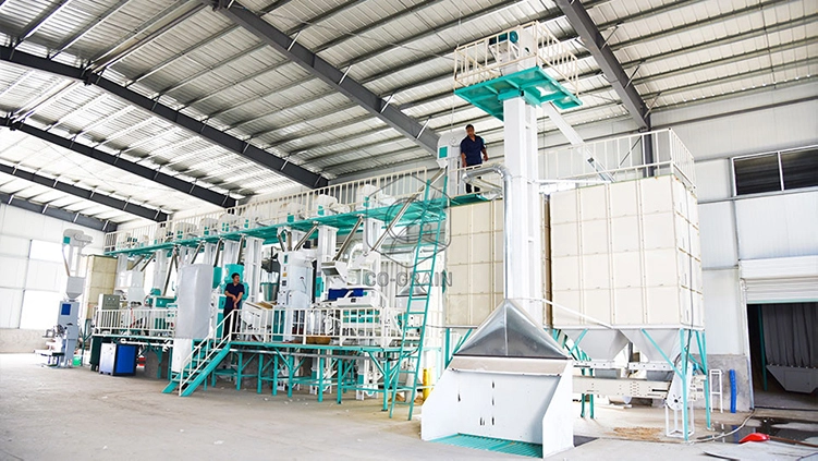 Combine Rice Mill industry insight