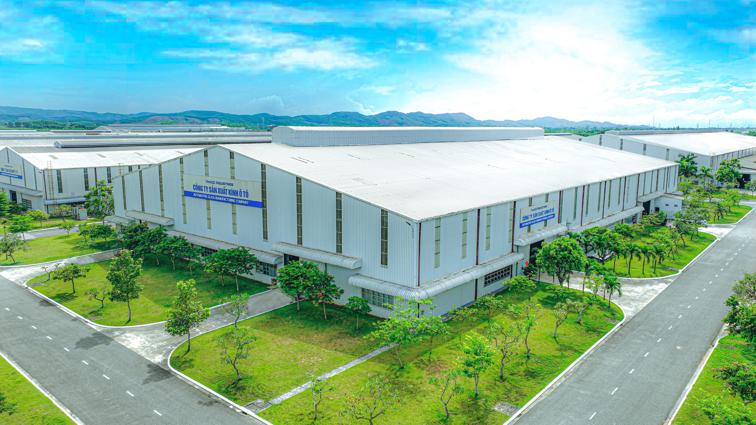 Company Profile