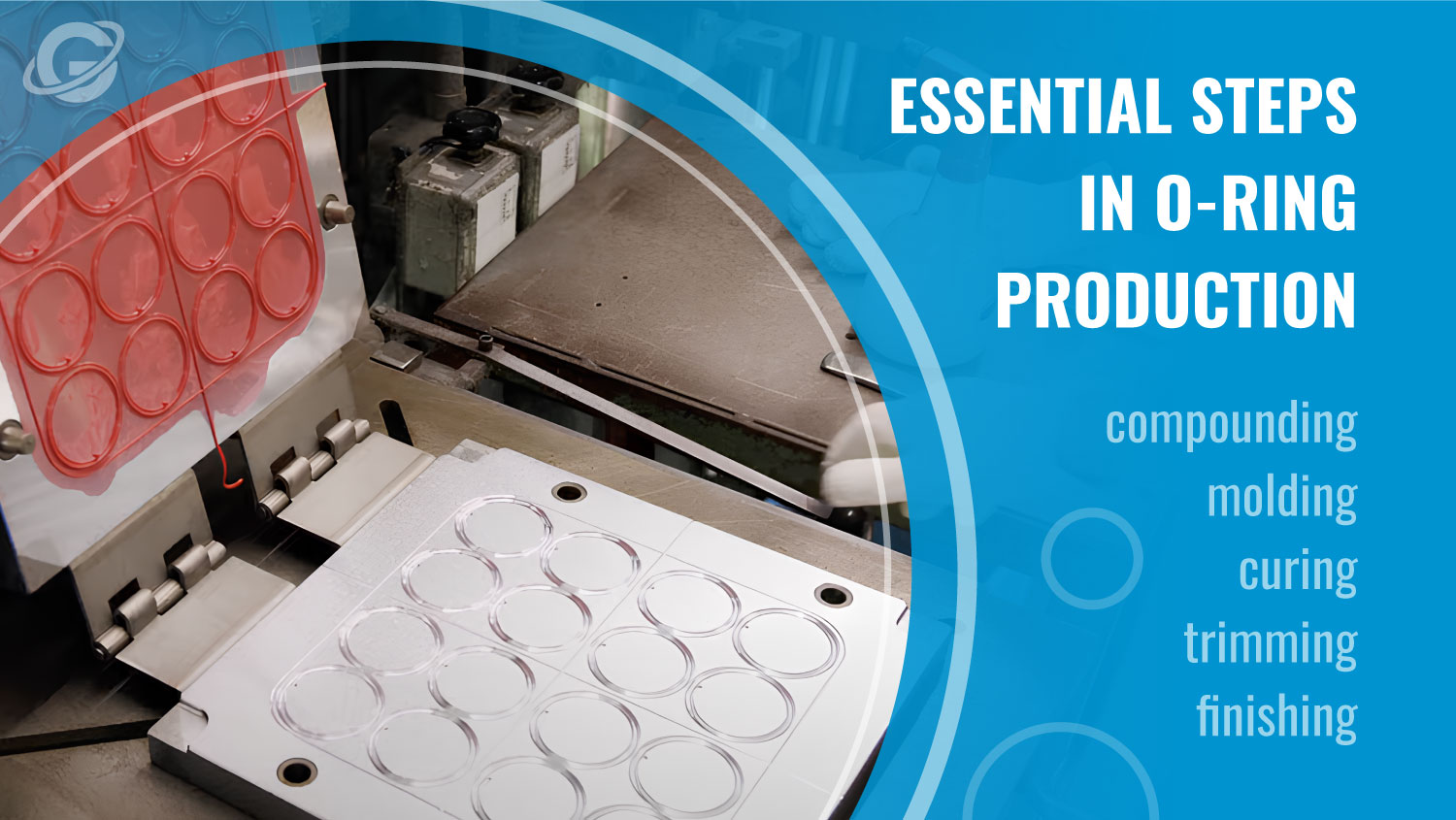 Conical Shaped Orings industry insight