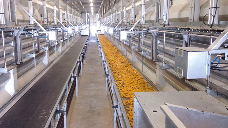 Corn Farming Equipment industry insight