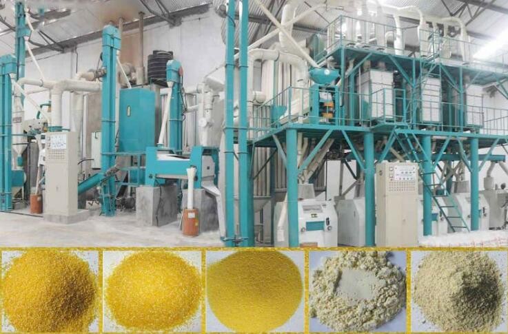 Corn Flour Powder industry insight