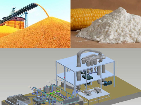 Corn Flour Powder industry insight