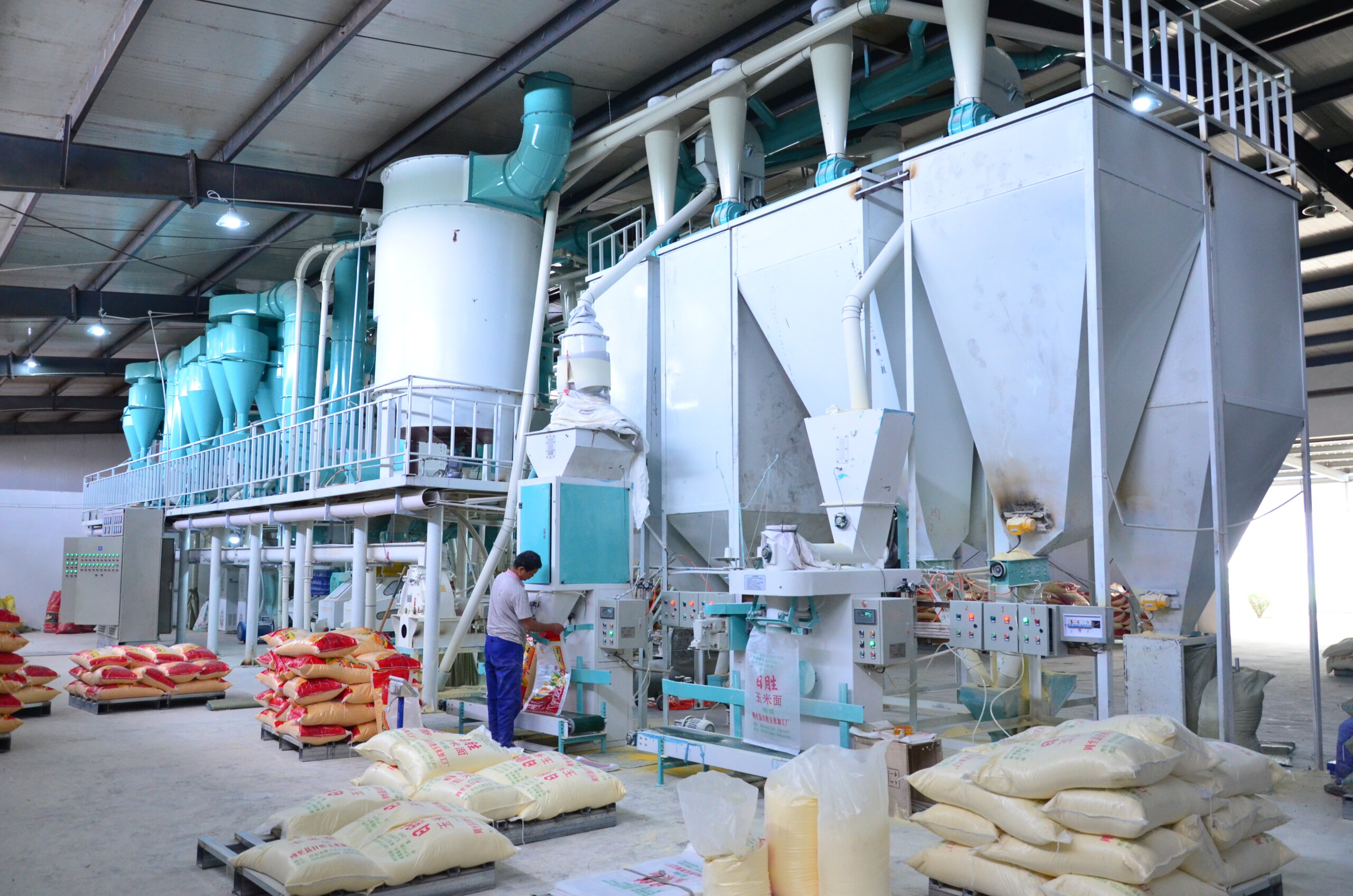 Corn Grinding industry insight