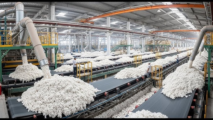 Cotton Lining Fabric industry insight