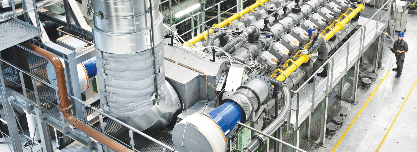 Creoline industry insight