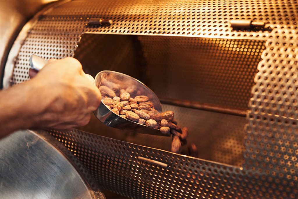 Criollo Cacao Beans industry insight