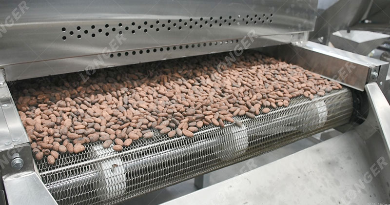 Criollo Cacao Beans industry insight