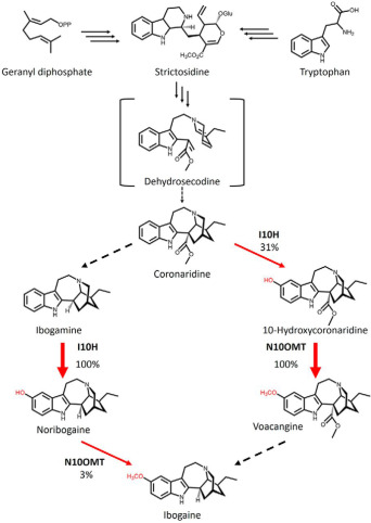 Cytochrome P450 and O