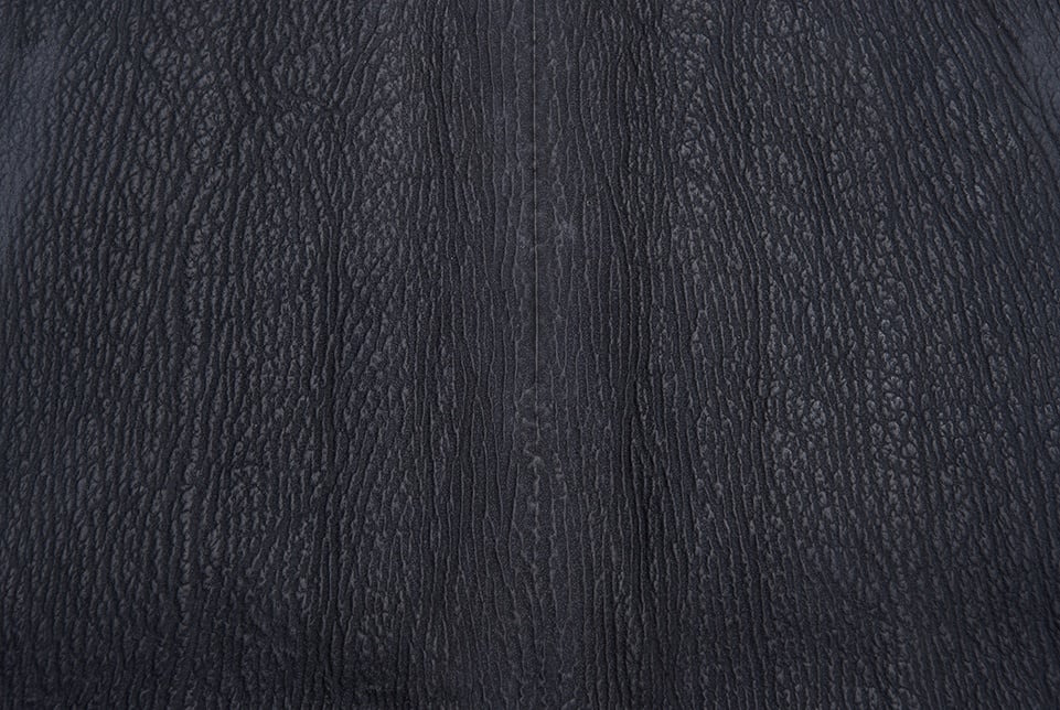 Defining Qualities of Shark Leather