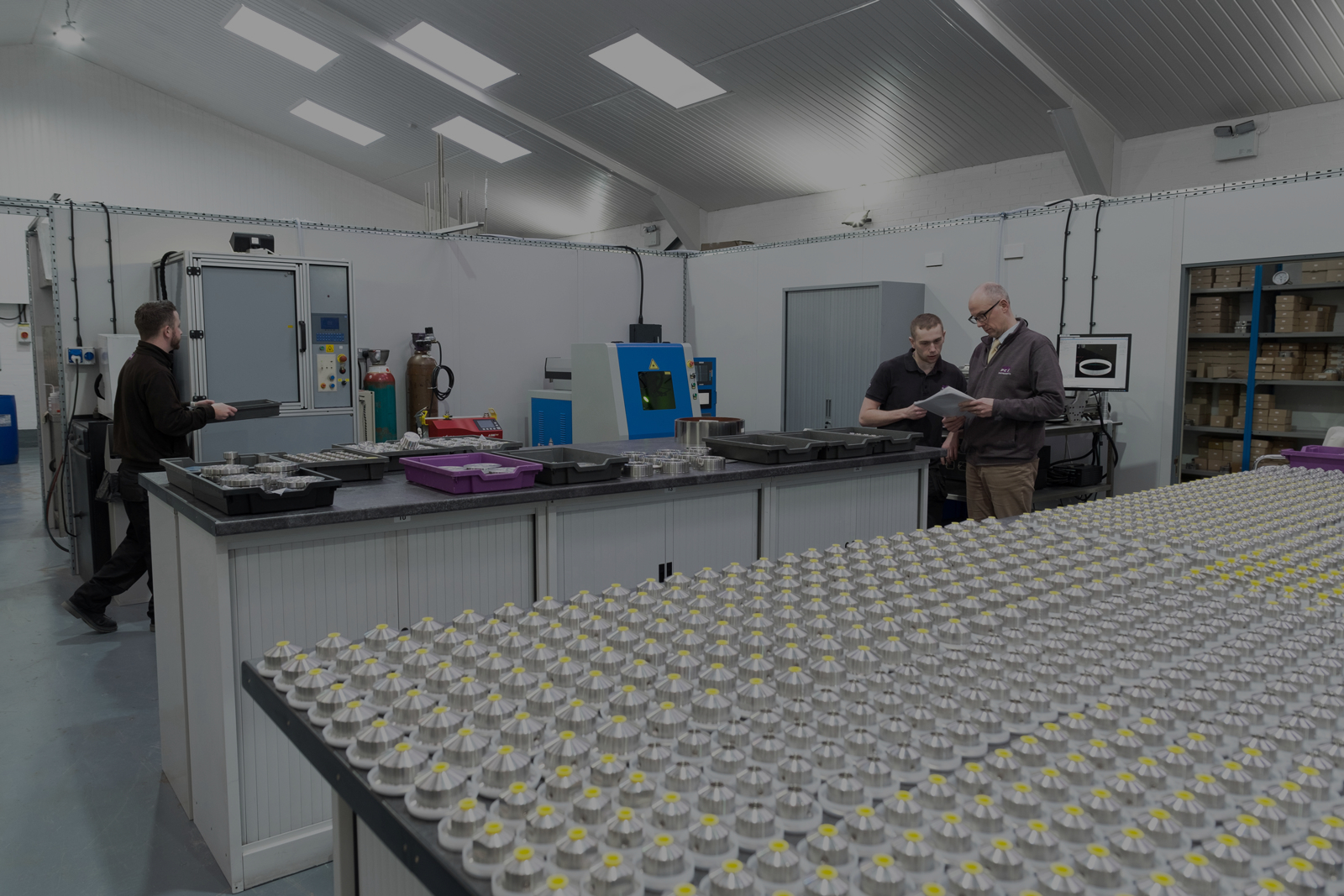 Diaphragm Seal industry insight