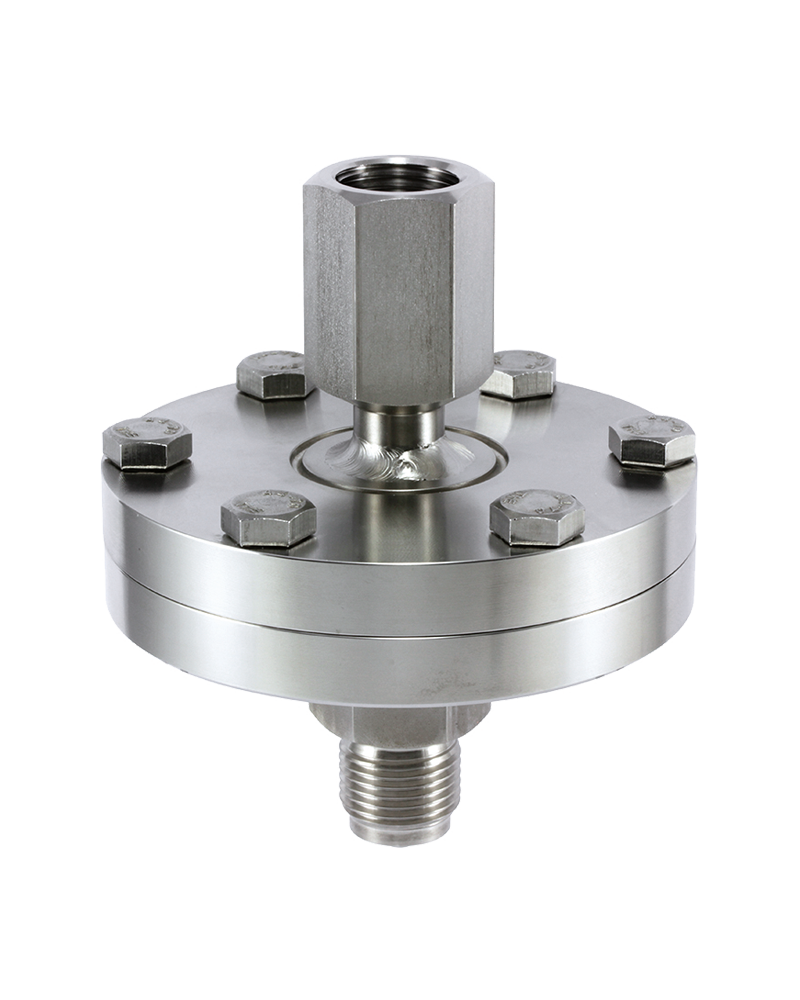 Diaphragm Seals / Process-Adaption