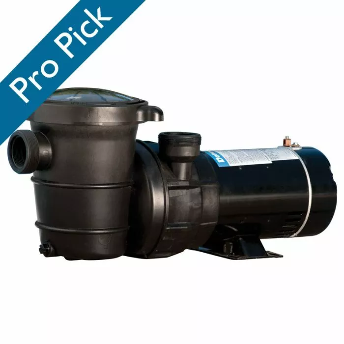 Doheny's Above Ground Pool Pump, 115V, 1 HP (0.9 THP)