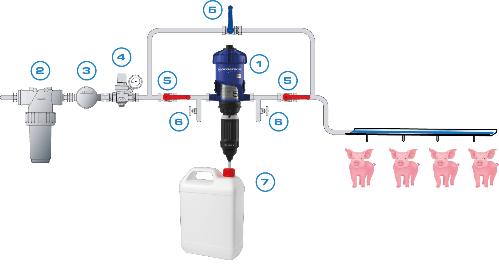 Dosatron Pig Breeding
