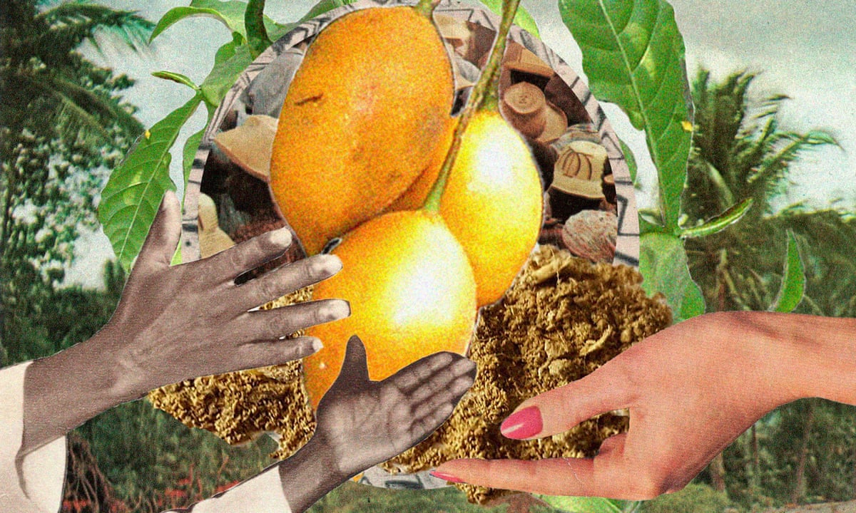 Dynamics of Iboga's African Origins and Modern Medical Use