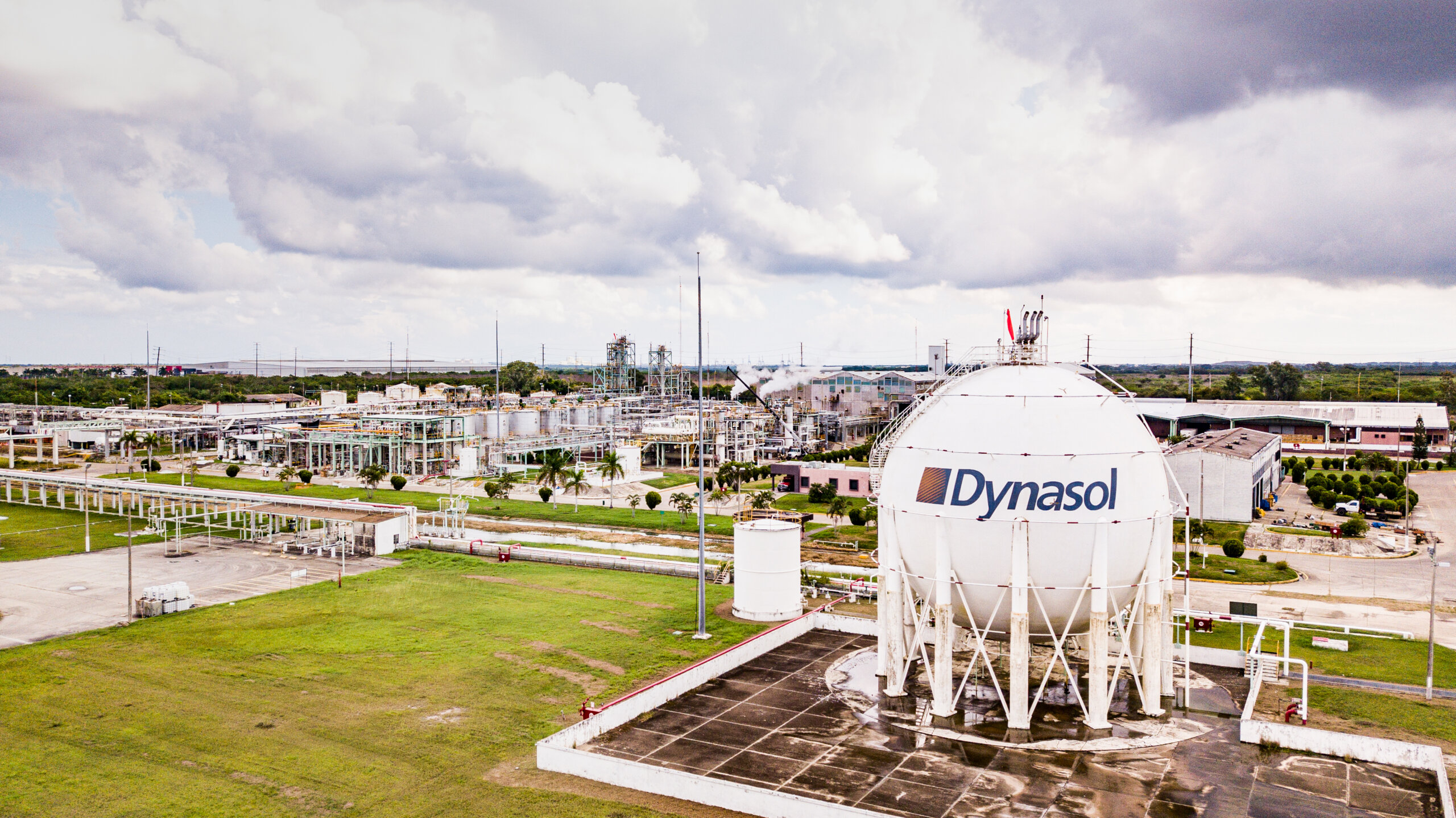 Dynasol Group, a global synthetic rubber company
