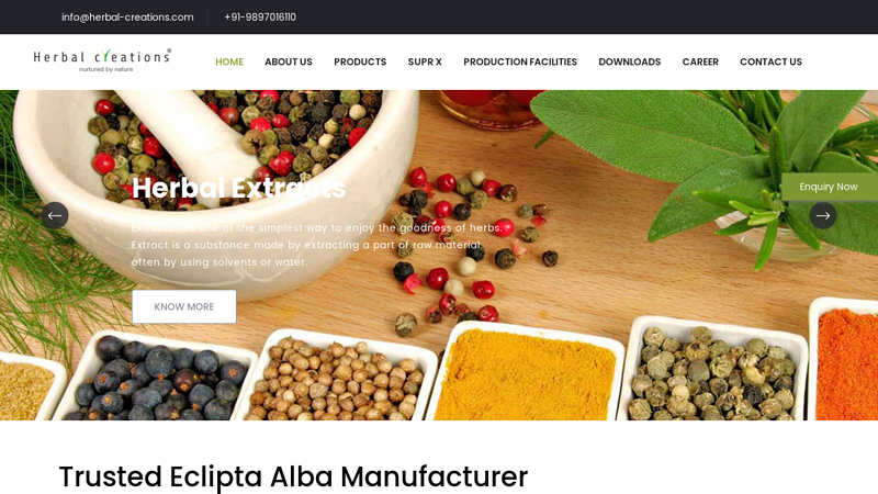 Eclipta Alba Manufacture