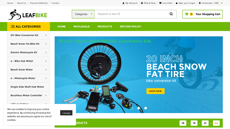 Electric bike motor