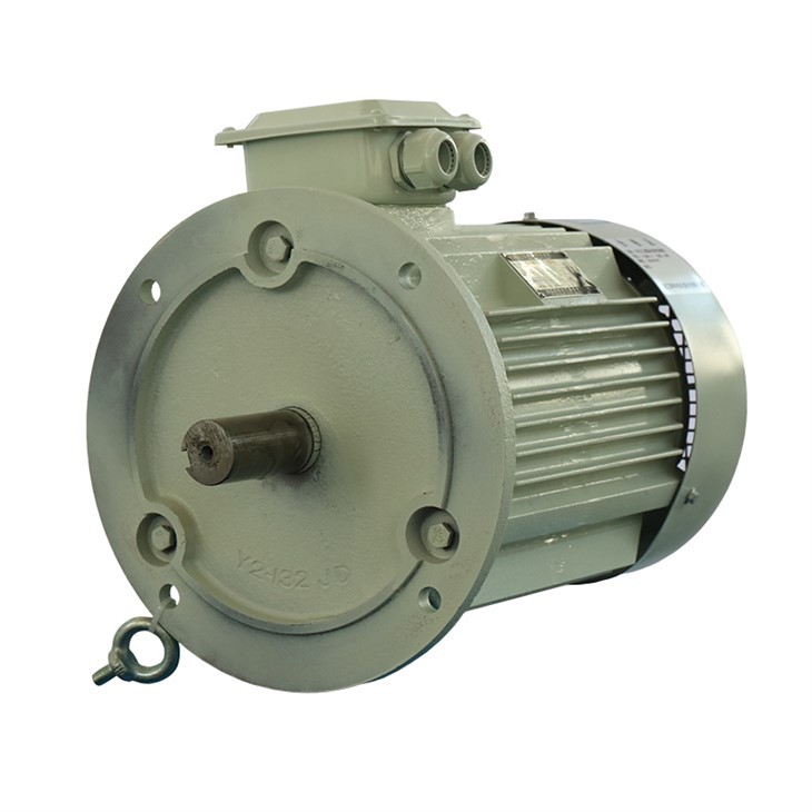 Electric Motor 2 Hp industry insight
