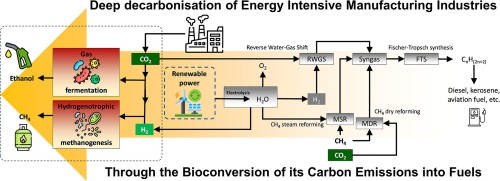 Engine Decarbonization industry insight