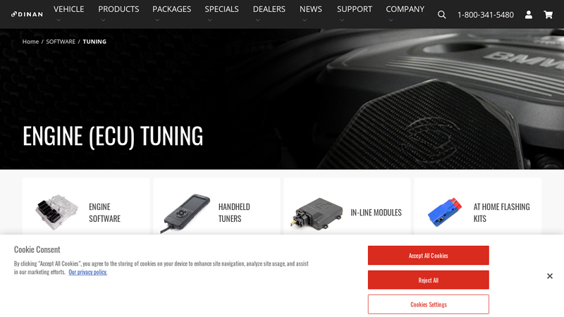 Engine (ECU) Tuning