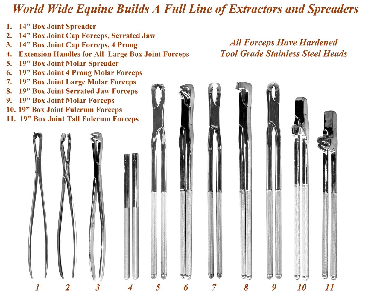 Equine Dentistry Instruments industry insight
