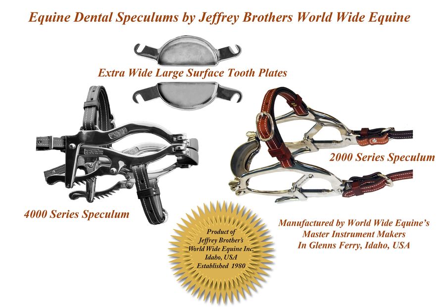 Equine Dentistry Instruments industry insight