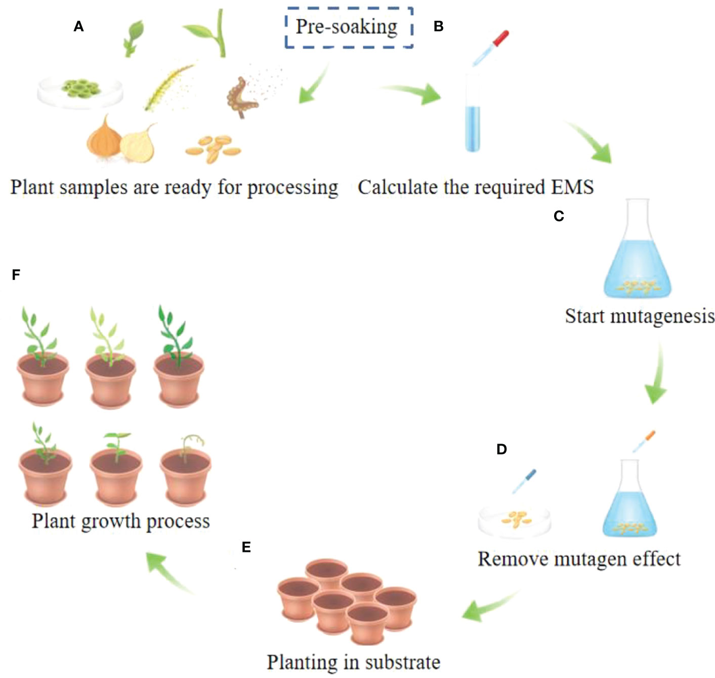 Ethyl Methanesulfonate industry insight