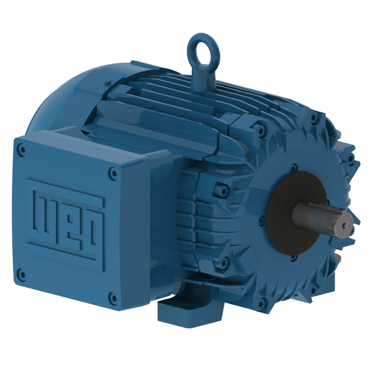 Explosion Proof Motors