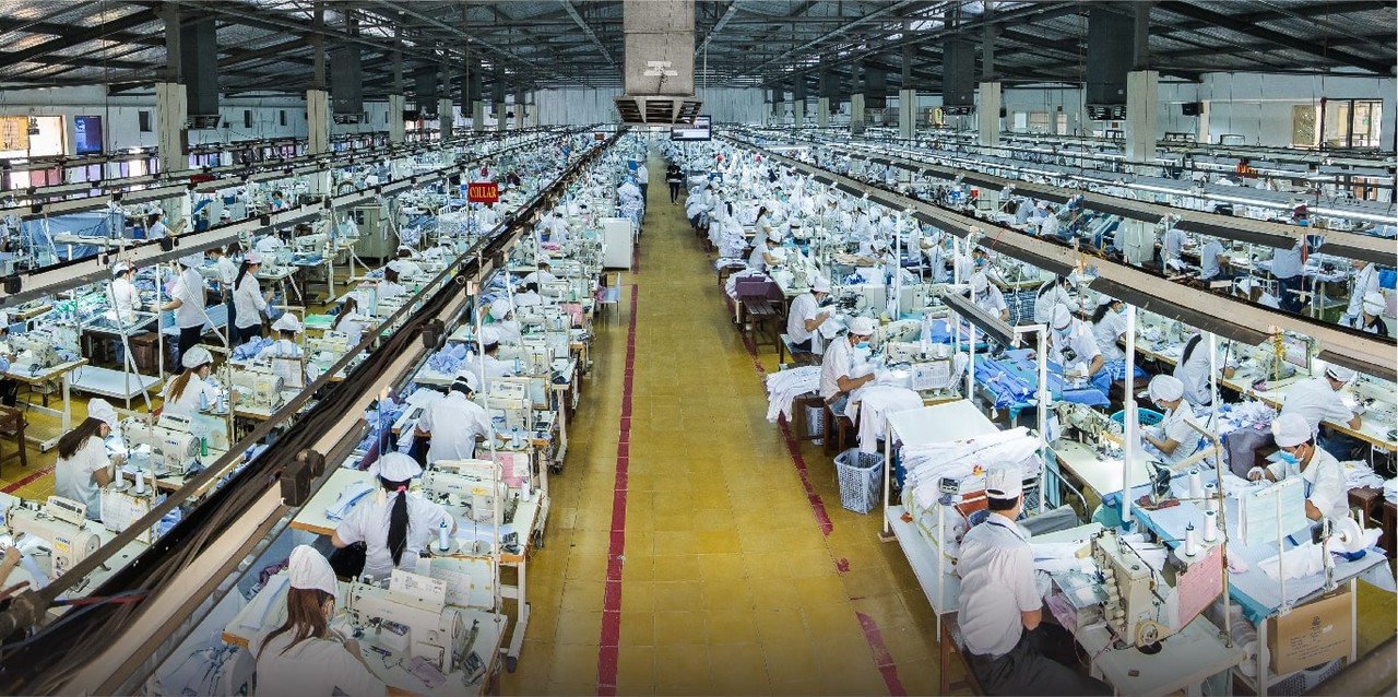 Export Company industry insight