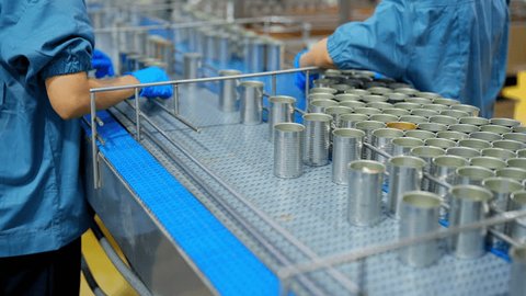 Export Company industry insight