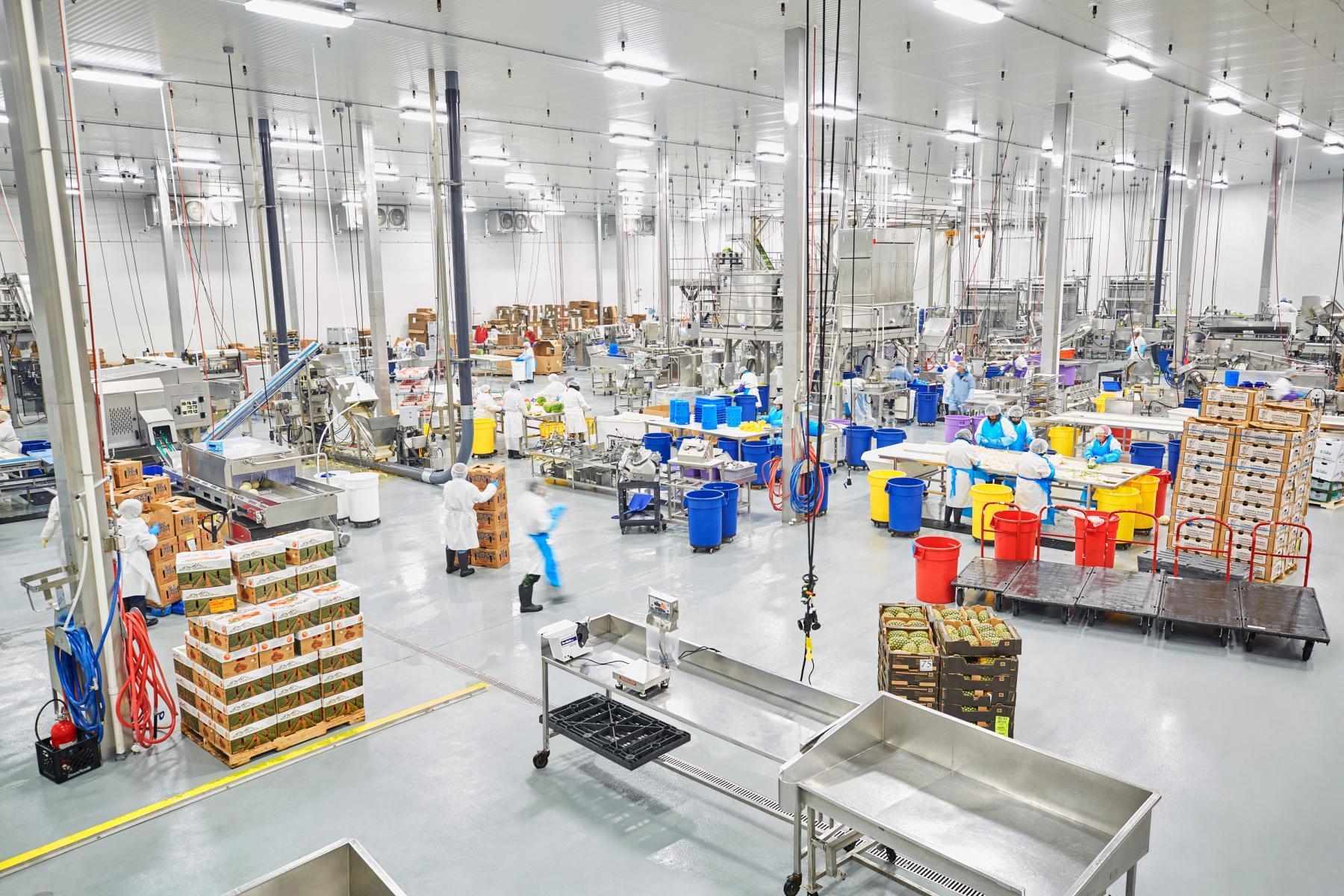 F&B Mfg industry insight