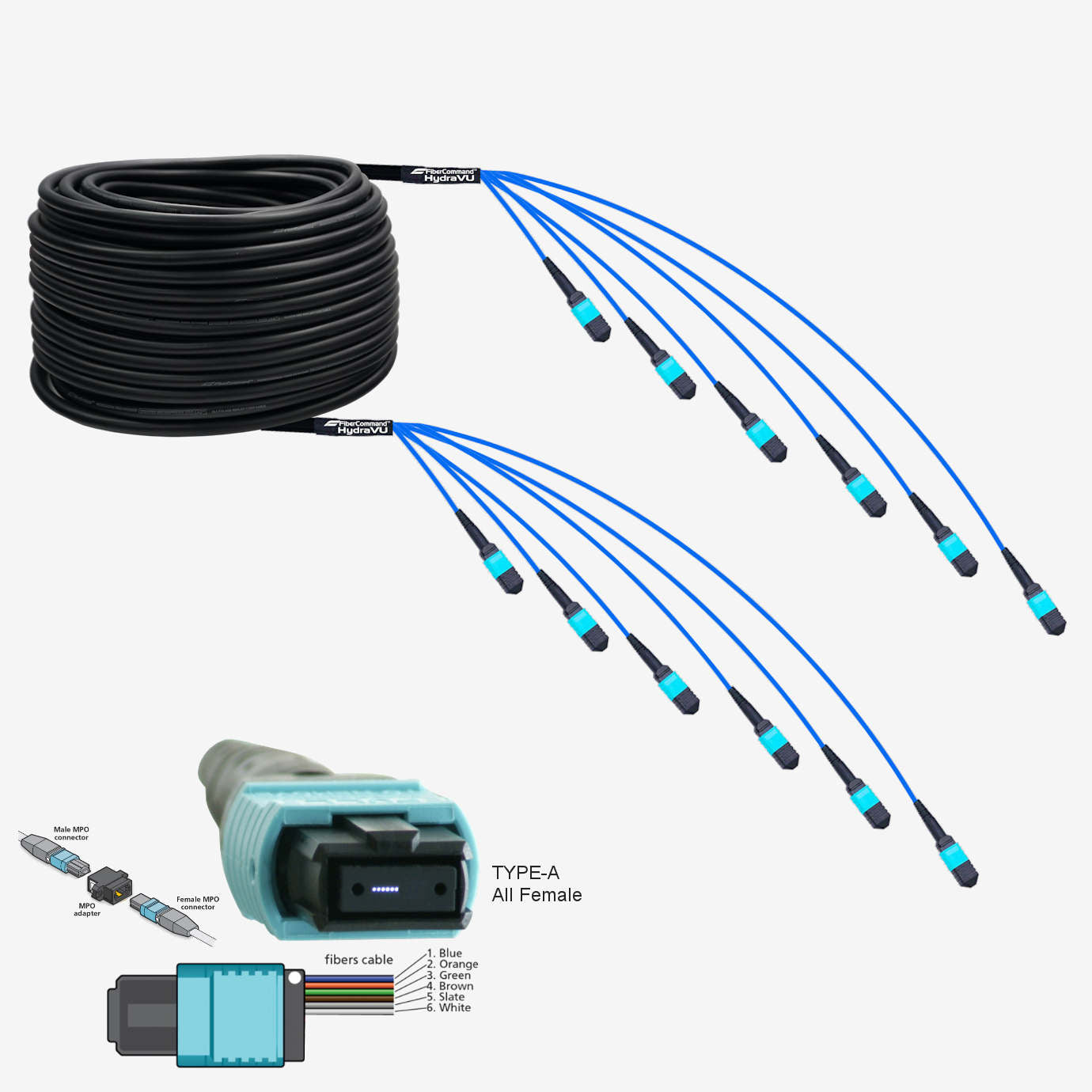 Fiber Optic Cables, Adaptors, & Accessories