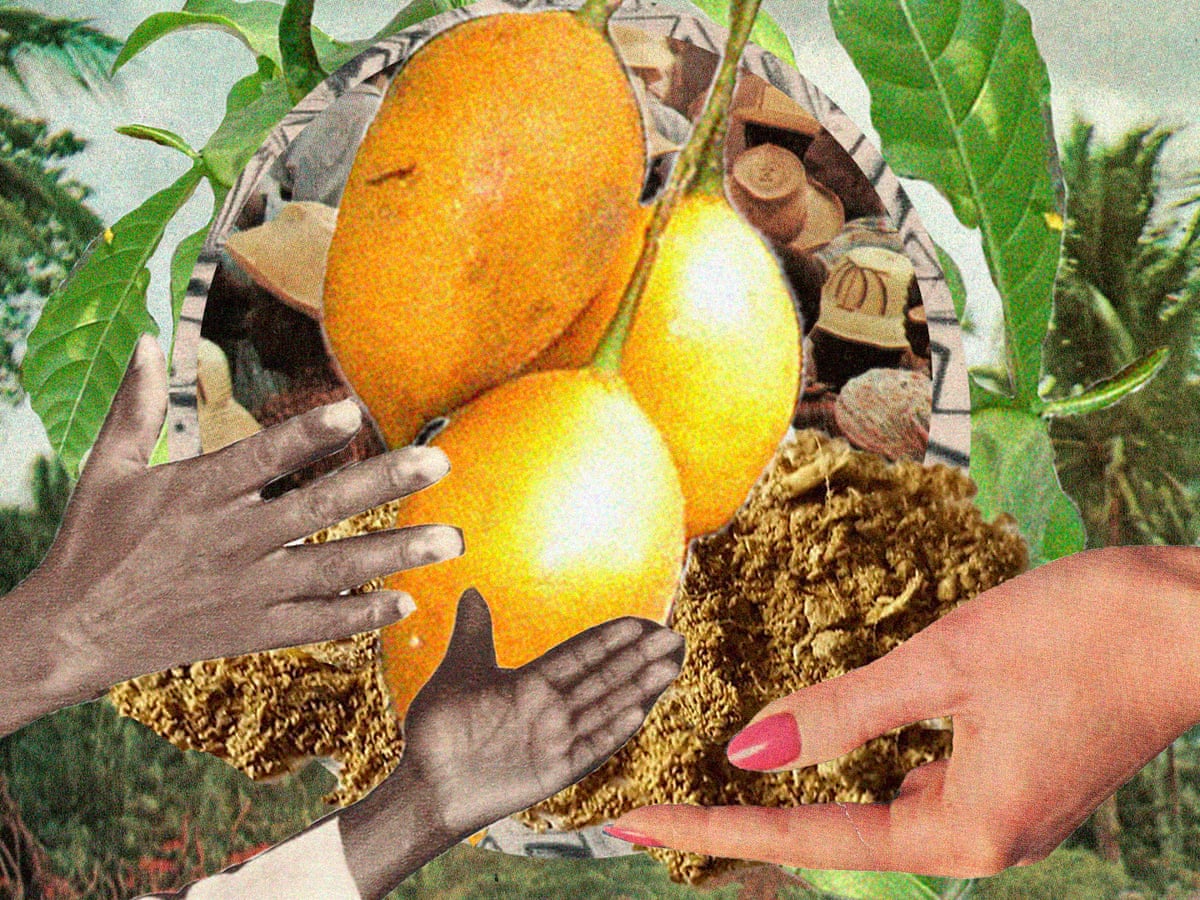 Finest Quality Iboga Root Bark Powder
