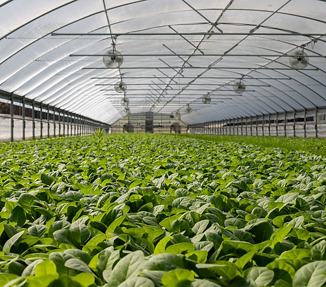 Finolex Drip Irrigation System l Solution For All Type Of Crops