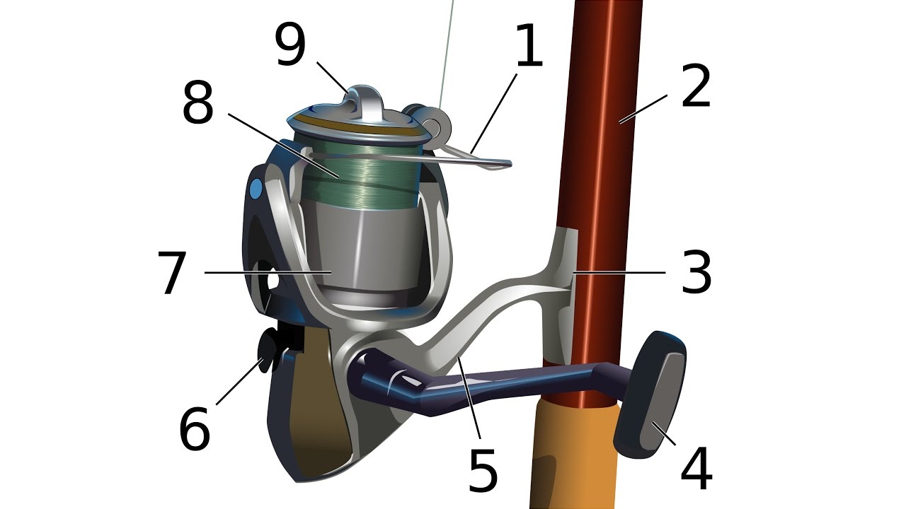 Fish Reel Parts industry insight