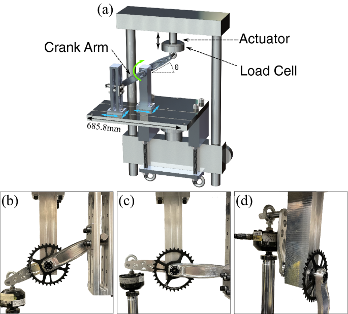 Fixed Gear Bike Crankset industry insight