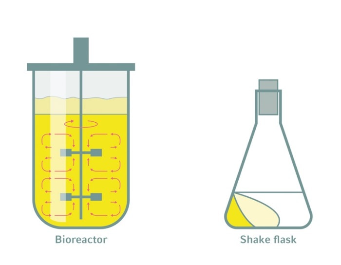 Flask Vs Beaker industry insight